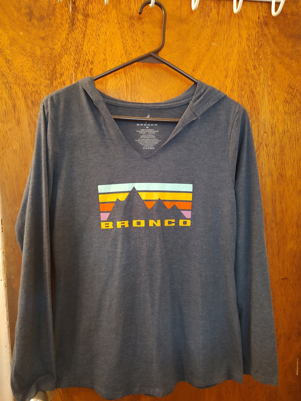 Bronco Graphic Hooded Long Sleeve Tee - Slate Blue with Sunset Stripes